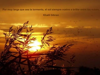 Por muy larga que sea la tormenta, el sol siempre vuelve a brillar entre las nubes. Khalil Gibran 