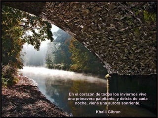En el corazón de todos los inviernos vive una primavera palpitante, y detrás de cada noche, viene una aurora sonriente. Khalil Gibran 