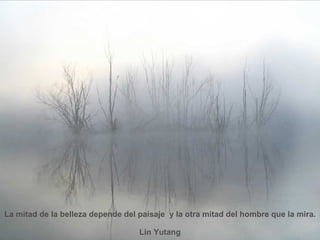 La mitad de la belleza depende del paisaje  y la otra mitad del hombre que la mira. Lin Yutang 
