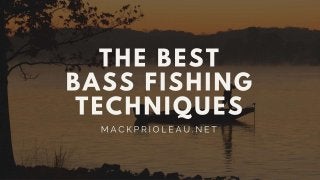 The Best Bass Fishing Techniques