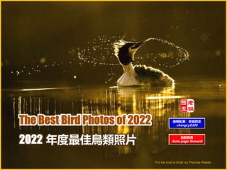 ‘For the love of birds’ by Thomas Wester
2022 年度最佳鳥類照片 自動換頁
Auto page forward
編輯配樂：老編西歪
changcy0326
 