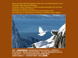 Taking the title of Bird Photographer of the Year, our Overall Winner is ‘Rock
Ptarmigan Flight’ by Erlend Haarberg.
It fe...