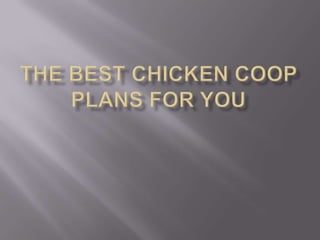 The Best Chicken Coop Plans for You 
