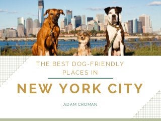 NEW YORK CITY
THE BEST DOG-FRIENDLY
PLACES IN
ADAM CROMAN
 