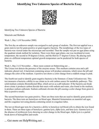 Identifying Two Unknown Species of Bacteria Essay
Identifying Two Unknown Species of Bacteria
Materials and Methods
Week 1, Day 1 (10 November 2000)
The first day an unknown sample was assigned to each group of students. The first test applied was a
gram stain to test for gram positive or gram negative bacteria. The morphology of the two types of
bacteria was viewed under the microscope and recorded. Then the sample was put on agar plates using
the quadrant streak method for isolation. There were three agar plates; one was incubated at room
temperature, the second at 30 degrees Celsius, and the third at 37 degrees Celsius. By placing each
plate at a different temperature optimal growth temperature can be predicted for both species of
bacteria.
Week 1, Day 2 (12 November ... Show more content on Helpwriting.net ...
The Urease test detects the presence of the enzyme urease. This medium contains urea and a pH
indicator, phenol red. A bacterium containing urease will produce ammonia, which raises the pH and
changes the color of the medium. A positive test shows a color change from a reddish orange to pink.
The fourth test used to identify gram negative bacteria is the Simmon s Citrate Utilization test. This
test measures a bacteria s ability to use citrate as its sole carbon source for metabolic pathways. This
solid medium contains Bromothymol Blue, which serves as a pH indicator. If the bacteria can break
down citrate it produces carbon dioxide that reacts with sodium and water, also found in the medium,
to produce sodium carbonate. Sodium carbonate elevates the pH causing a color change from green to
blue (a positive result).
The second bacterium was gram positive. There are three tests that are used to identify gram positive
bacteria. The three tests are hemolyses on blood agar, Mannitol fermentation on mannitol salt agar,
and the coagulase test using plasma containing serum in coagulase tubes.
The test on blood agar tests for a bacteria s ability to hemolyze red blood cells to obtain the iron found
in them. There are three types of hemolysis: gamma lysis, alpha lysis, and beta lysis. Gamma lysis is
the absence of erythrocyte lysis showing no color change in the blood agar. Alpha lysis is a partial
break down of hemoglobin and results
... Get more on HelpWriting.net ...
 