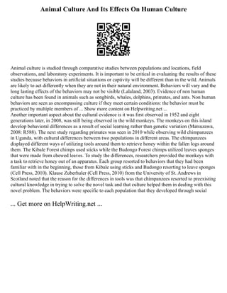 Animal Culture And Its Effects On Human Culture
Animal culture is studied through comparative studies between populations and locations, field
observations, and laboratory experiments. It is important to be critical in evaluating the results of these
studies because behaviors in artificial situations or captivity will be different than in the wild. Animals
are likely to act differently when they are not in their natural environment. Behaviors will vary and the
long lasting effects of the behaviors may not be visible (Lalaland, 2003). Evidence of non human
culture has been found in animals such as songbirds, whales, dolphins, primates, and ants. Non human
behaviors are seen as encompassing culture if they meet certain conditions: the behavior must be
practiced by multiple members of ... Show more content on Helpwriting.net ...
Another important aspect about the cultural evidence is it was first observed in 1952 and eight
generations later, in 2008, was still being observed in the wild monkeys. The monkeys on this island
develop behavioral differences as a result of social learning rather than genetic variation (Matsuzawa,
2008: R588). The next study regarding primates was seen in 2010 while observing wild chimpanzees
in Uganda, with cultural differences between two populations in different areas. The chimpanzees
displayed different ways of utilizing tools around them to retrieve honey within the fallen logs around
them. The Kibale Forest chimps used sticks while the Budongo Forest chimps utilized leaves sponges
that were made from chewed leaves. To study the differences, researchers provided the monkeys with
a task to retrieve honey out of an apparatus. Each group resorted to behaviors that they had been
familiar with in the beginning, those from Kibale using sticks and Budongo resorting to leave sponges
(Cell Press, 2010). Klause Zuberhuler (Cell Press, 2010) from the University of St. Andrews in
Scotland noted that the reason for the differences in tools was that chimpanzees resorted to preexisting
cultural knowledge in trying to solve the novel task and that culture helped them in dealing with this
novel problem. The behaviors were specific to each population that they developed through social
... Get more on HelpWriting.net ...
 
