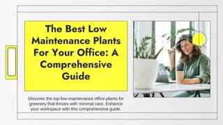 KITCHEN
The Best Low
Maintenance Plants
For Your Office: A
Comprehensive
Guide
Discover the top low-maintenance office plants for
greenery that thrives with minimal care. Enhance
your workspace with this comprehensive guide.
 