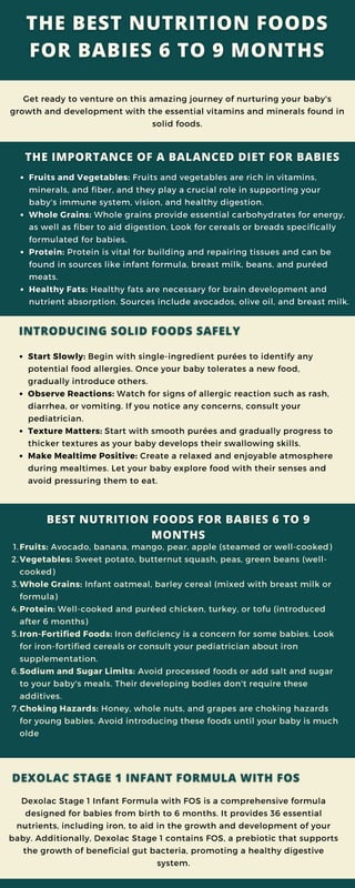 The Best Nutrition Foods For Babies 6 to 9 Months | PDF