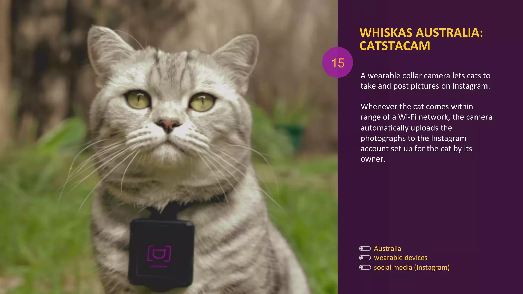 WHISKAS	
  AUSTRALIA:	
  
CATSTACAM	
  
	
  
A	
  wearable	
  collar	
  camera	
  lets	
  cats	
  to	
  
take	
  and	
  post	
  pictures	
  on	
  Instagram.	
  
	
  
Whenever	
  the	
  cat	
  comes	
  within	
  
range	
  of	
  a	
  Wi-­‐Fi	
  network,	
  the	
  camera	
  	
  
automaAcally	
  uploads	
  the	
  
photographs	
  to	
  the	
  Instagram	
  
account	
  set	
  up	
  for	
  the	
  cat	
  by	
  its	
  
owner.	
  
	
  
	
  
Australia	
  
wearable	
  devices	
  
15
social	
  media	
  (Instagram)	
  
 