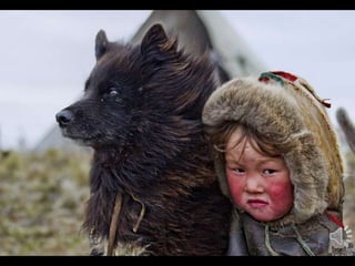 The Best of Russia 2012- Photography Competition