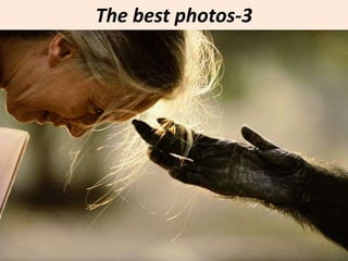 The best photos-3 