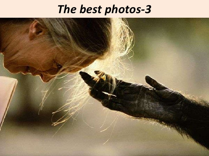 The best photos-3<br />