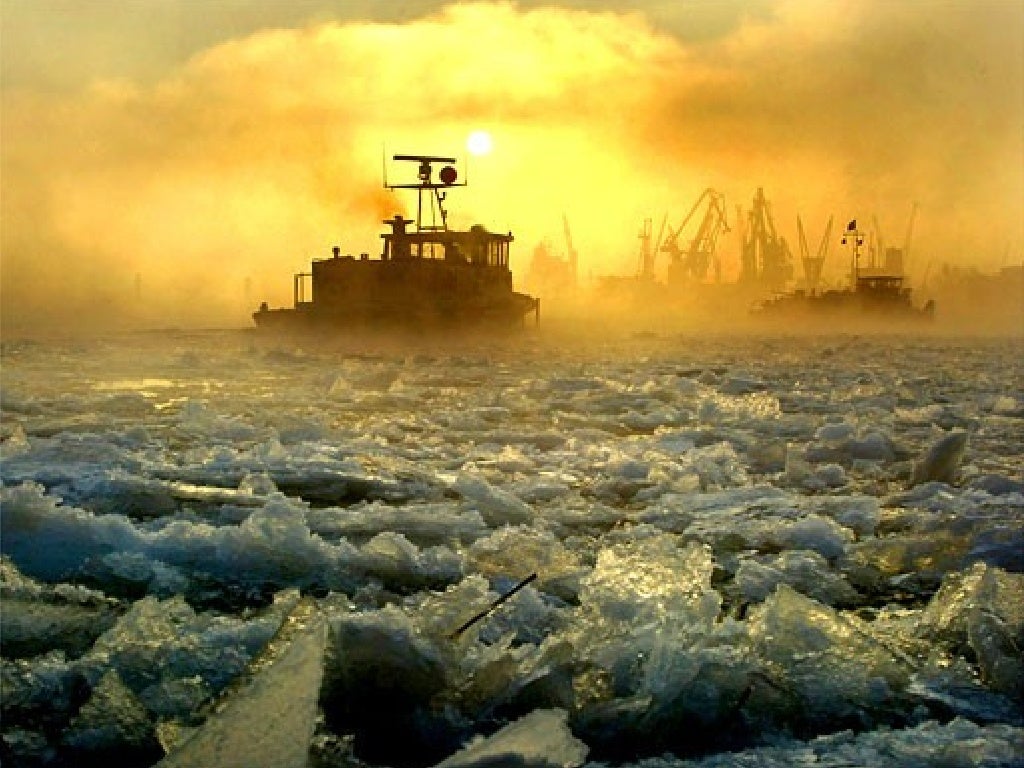 The Best Pictures Of The Year