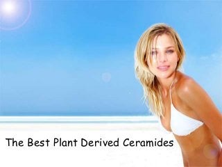 The Best Plant Derived Ceramides
 