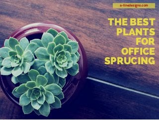 a-linedesigns.com
THE BEST
PLANTS
FOR
OFFICE
SPRUCING
 