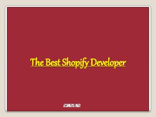 The Best Shopify Developer
 