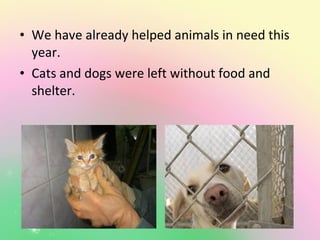 • We have already helped animals in need this
year.
• Cats and dogs were left without food and
shelter.
 