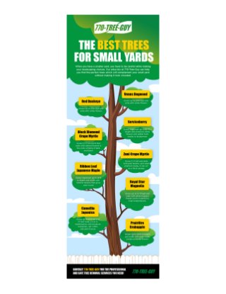 The Best Trees For Small Yards