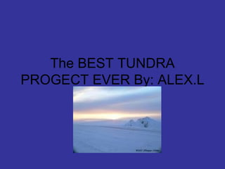 The BEST TUNDRA PROGECT EVER By: ALEX.L  