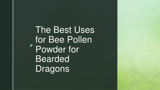The Best Uses For Bee Pollen Powder For Bearded Dragons