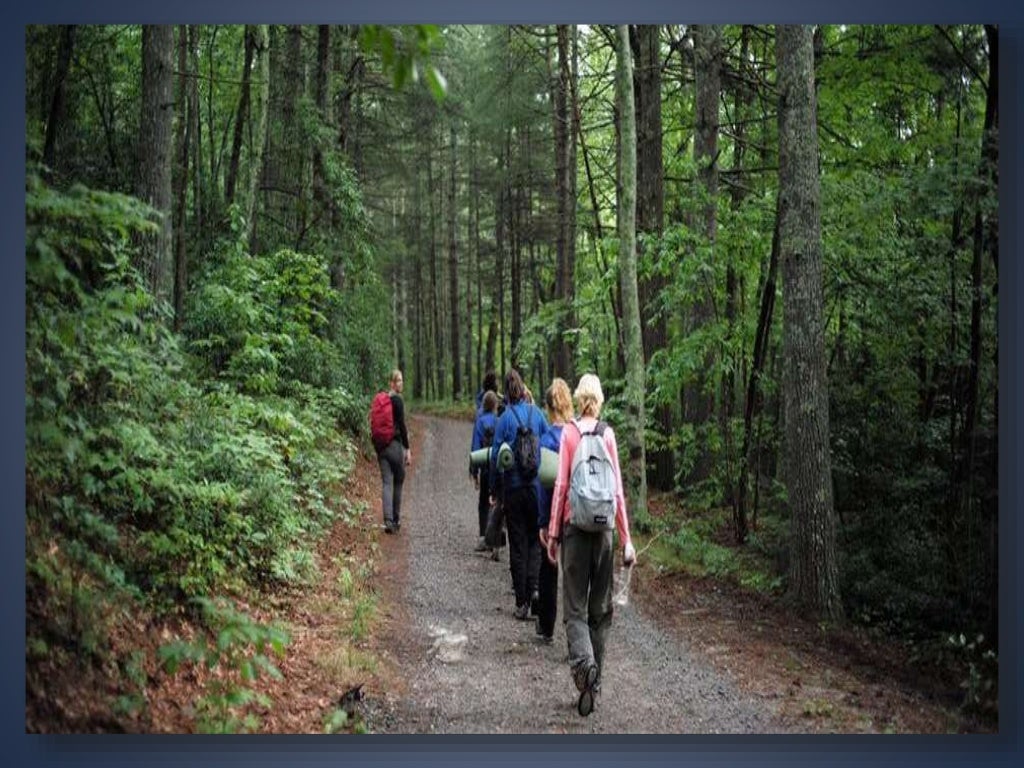 The Best Wilderness Programs At Trails Carolina