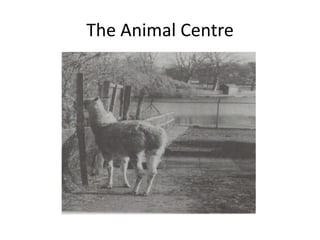 The Animal Centre
 