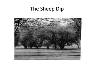 The Sheep Dip
 