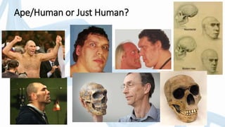 Ape/Human or Just Human?
 