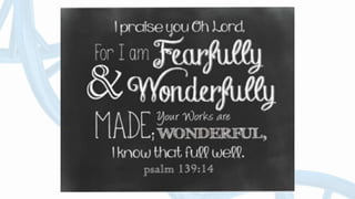 The Bible and Evolution; Are They Compatible?