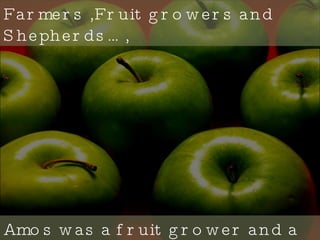 Farmers ,Fruit growers and Shepherds…, Amos was a fruit grower and a Shepherd. 