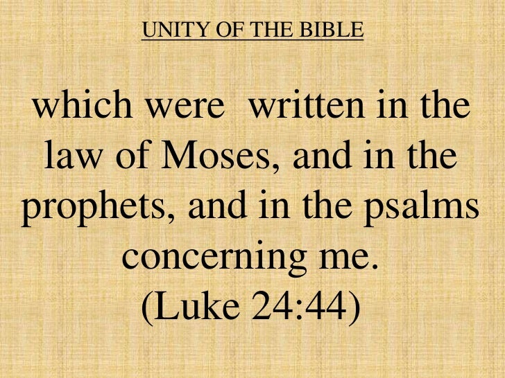 The Bible Gods Holy Word