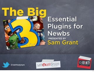 The Big Essential
               Plugins for
               Newbs
               PRESENTED BY

               Sam Grant


  @samsaysyo

                              1
 
