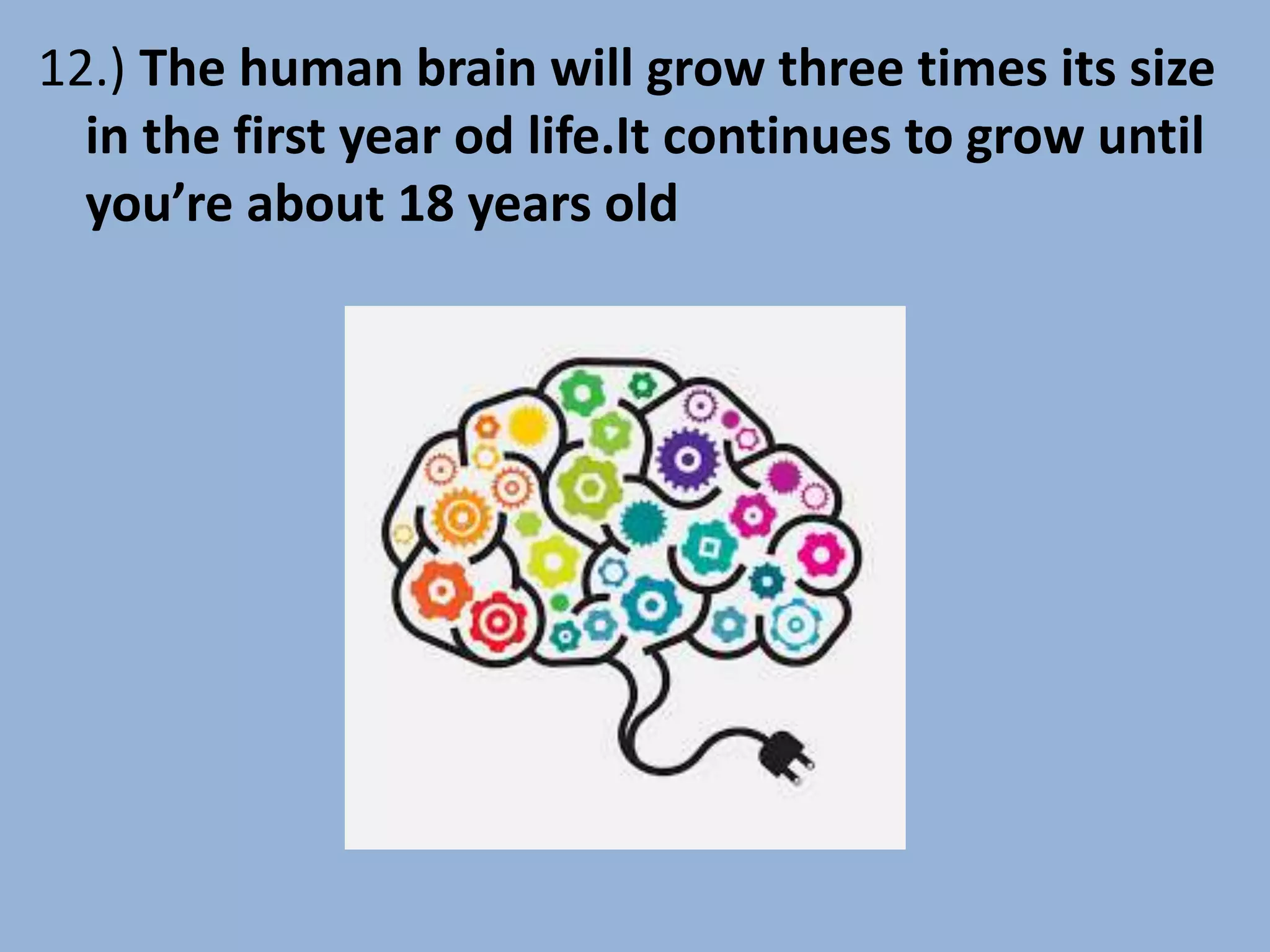 12.) The human brain will grow three times its size
in the first year od life.It continues to grow until
you’re about 18 years old
 