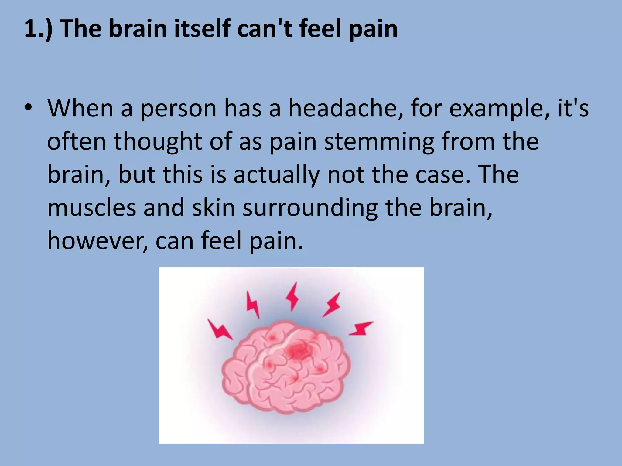 1.) The brain itself can't feel pain
• When a person has a headache, for example, it's
often thought of as pain stemming from the
brain, but this is actually not the case. The
muscles and skin surrounding the brain,
however, can feel pain.
 