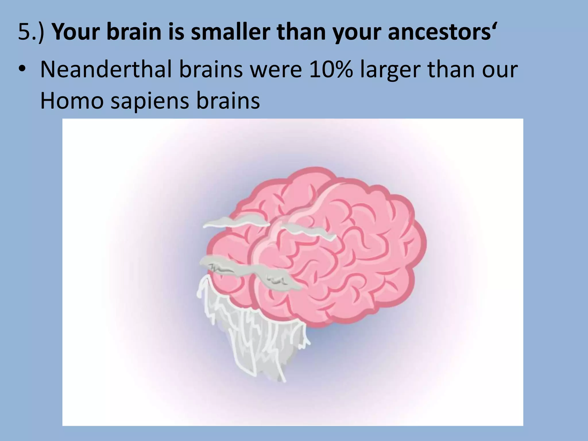 5.) Your brain is smaller than your ancestors‘
• Neanderthal brains were 10% larger than our
Homo sapiens brains
 