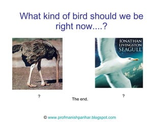 What kind of bird should we be right now....? ©  www.profmanishparihar.blogspot.com The end. ? ? 