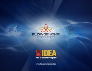 THE
      IDEA
BIG adventure sports
flow in

www.flowgenomeproject.co
 