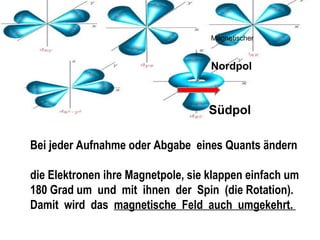 Bei jeder Aufnahme oder Abgabe eines Quants ändern
die Elektronen ihre Magnetpole, sie klappen einfach um
180 Grad um und mit ihnen der Spin (die Rotation).
Damit wird das magnetische Feld auch umgekehrt.
Magnetischer
Nordpol
Südpol
 