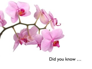 Did you know …
 
