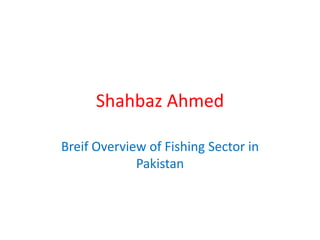 Shahbaz Ahmed
Breif Overview of Fishing Sector in
Pakistan
 