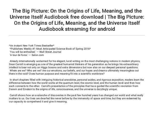 The Big Picture On The Origins Of Life Meaning And The Univers The Big Picture On The Origins Of Life Meaning And The Univers