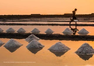 The salt fields of Kampot, Cambodia Simon Slater of Weymouth, Dorset.
 