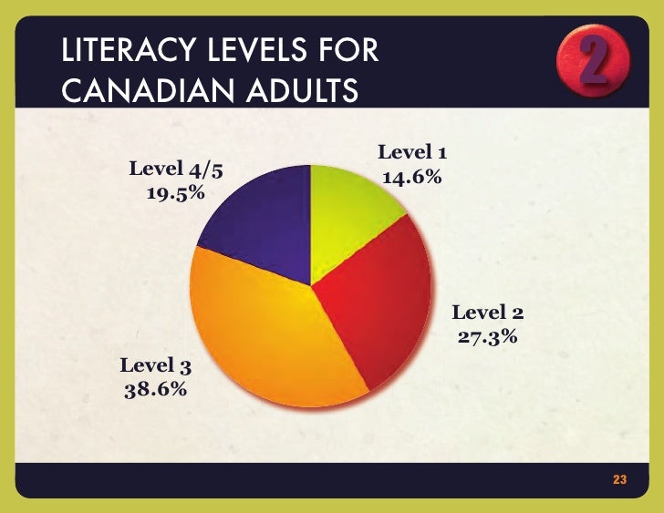 The Big Picture Literacy in Canada