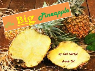 TheBigPineapple By Lize Nortje Grade 5H 