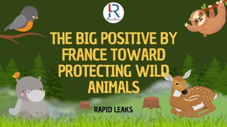 THE BIG POSITIVE BY
FRANCE TOWARD
PROTECTING WILD
ANIMALS
RAPID LEAKS
 