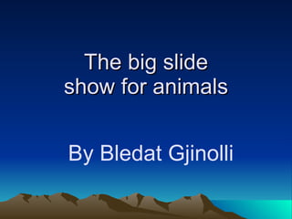 The big slide show for animals By Bledat Gjinolli 