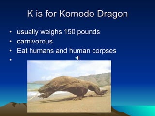 K is for Komodo Dragon usually weighs 150 pounds carnivorous Eat humans and human corpses  