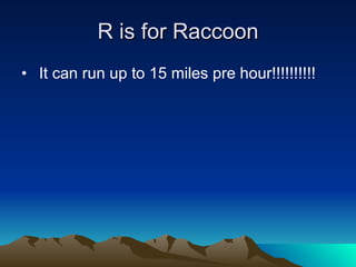 R is for Raccoon It can run up to 15 miles pre hour!!!!!!!!!! 