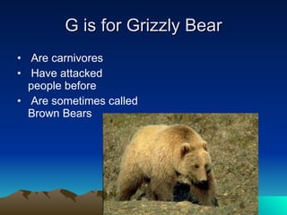 G is for Grizzly Bear Are carnivores Have attacked people before Are sometimes called Brown Bears 