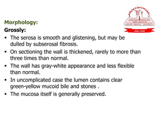 Morphology:
Grossly:
 The serosa is smooth and glistening, but may be
dulled by subserosal fibrosis.
 On sectioning the wall is thickened, rarely to more than
three times than normal.
 The wall has gray-white appearance and less flexible
than normal.
 In uncomplicated case the lumen contains clear
green-yellow mucoid bile and stones .
 The mucosa itself is generally preserved.
 